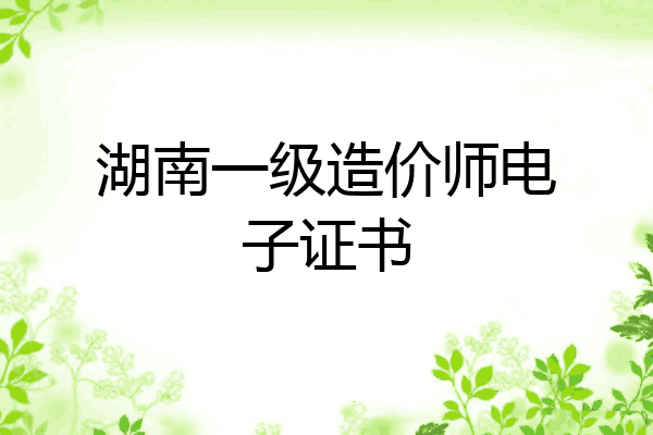 湖南一级造价师电子证书
