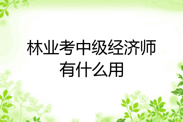 林业考中级经济师有什么用