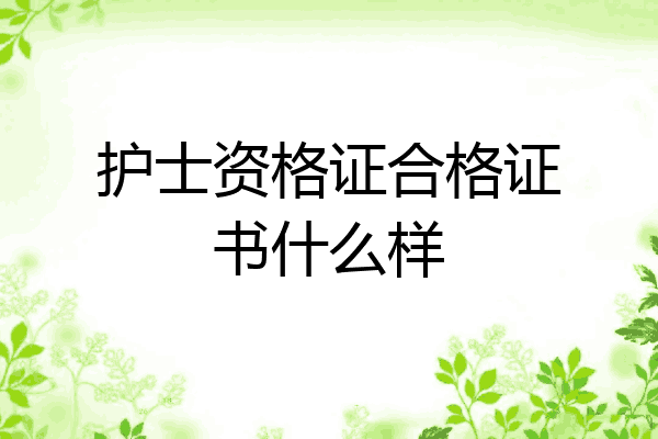 护士资格证合格证书什么样