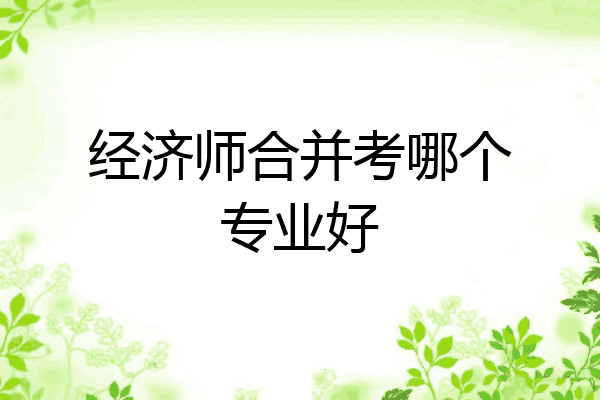 经济师合并考哪个专业好