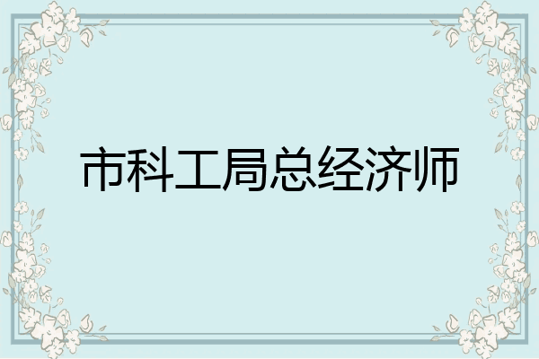 市科工局总经济师