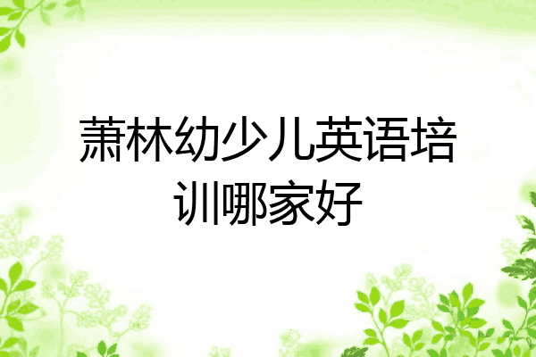 萧林幼少儿英语培训哪家好