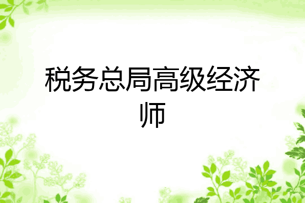 税务总局高级经济师
