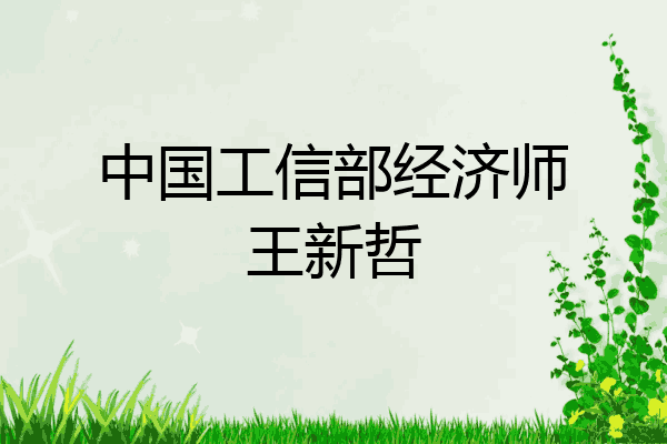 中国工信部经济师王新哲