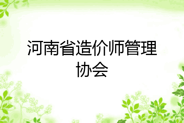 河南省造价师管理协会