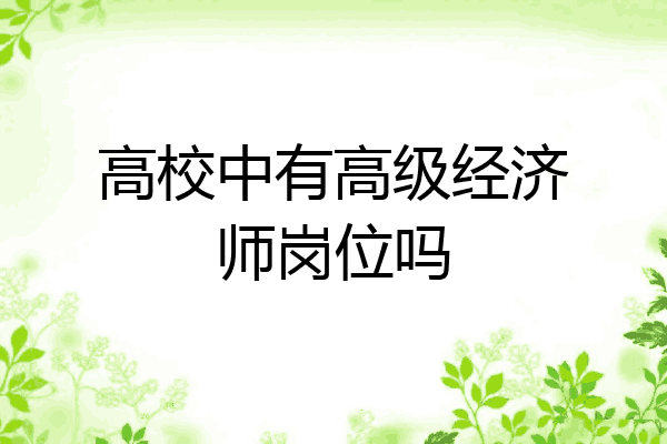 高校中有高级经济师岗位吗