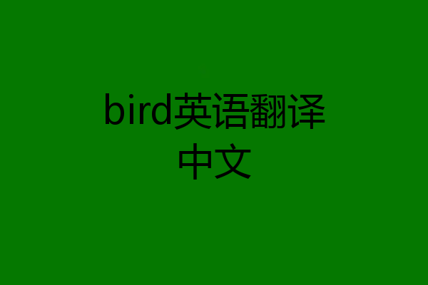 bird英语翻译中文