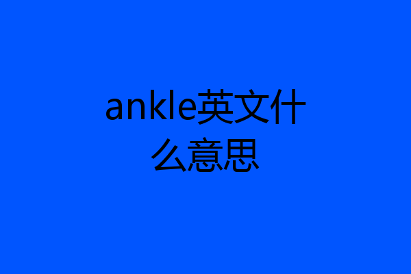 ankle英文什么意思