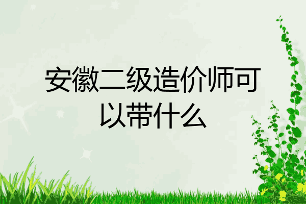 安徽二级造价师可以带什么