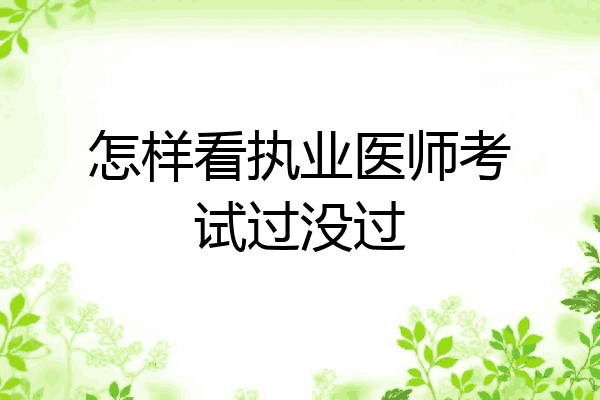 怎样看执业医师考试过没过