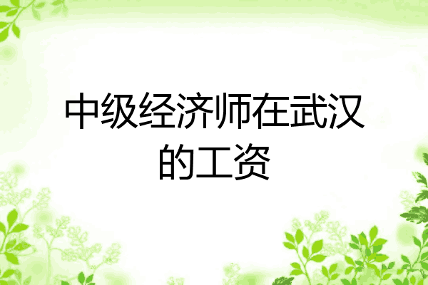 中级经济师在武汉的工资