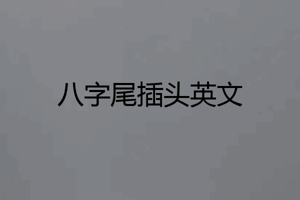 八字尾插头英文