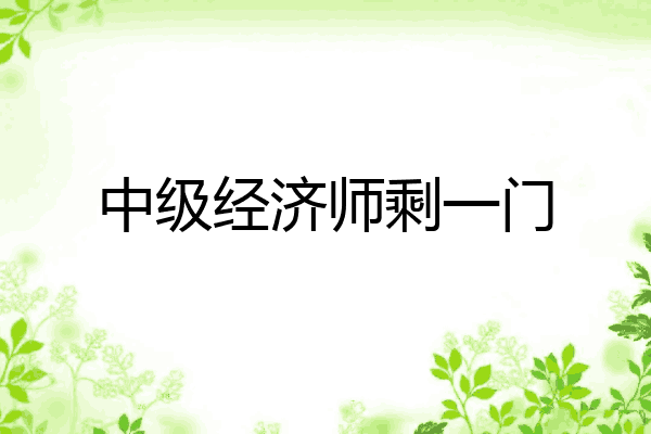 中级经济师剩一门
