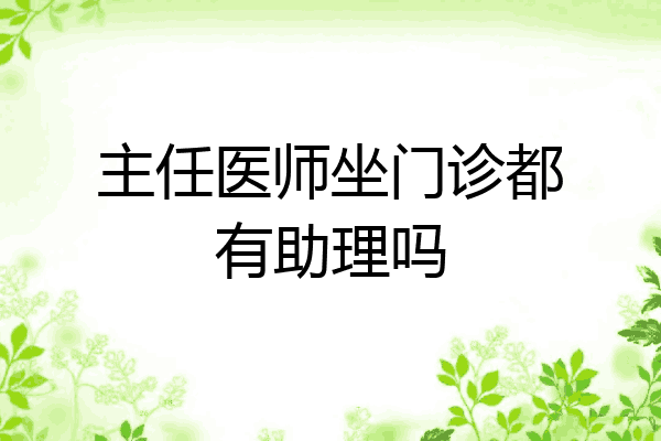 主任医师坐门诊都有助理吗