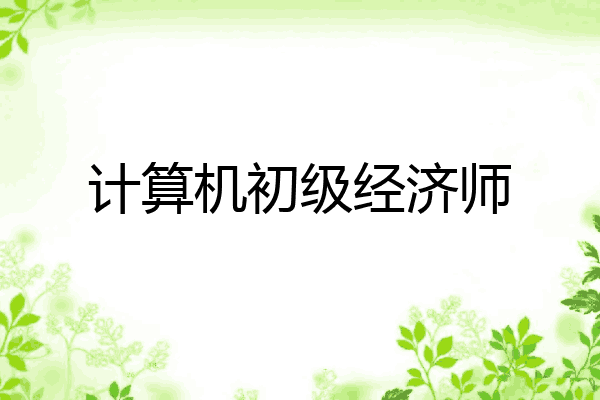 计算机初级经济师