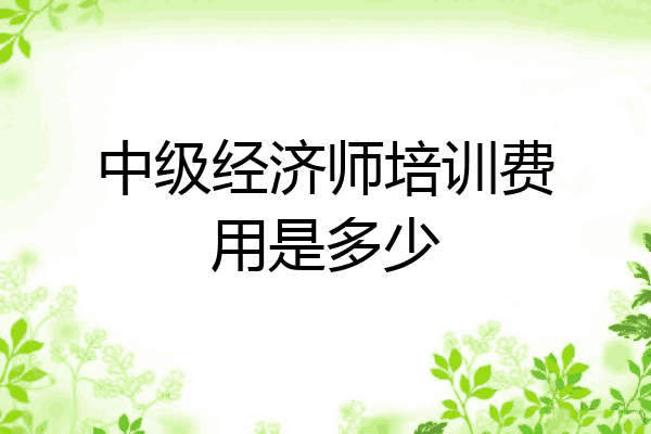 中级经济师培训费用是多少
