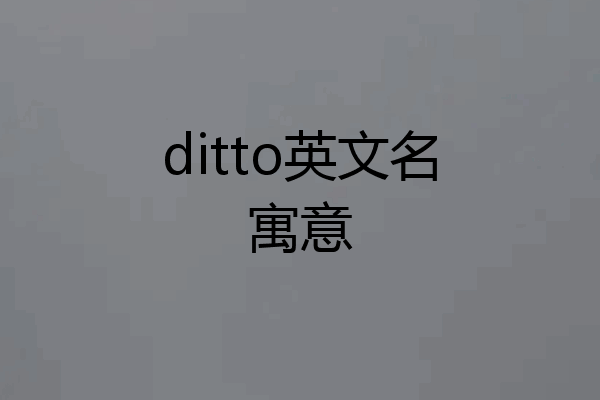 ditto英文名寓意