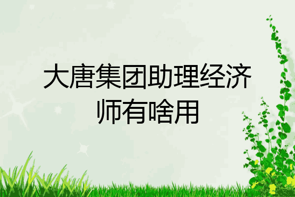 大唐集团助理经济师有啥用