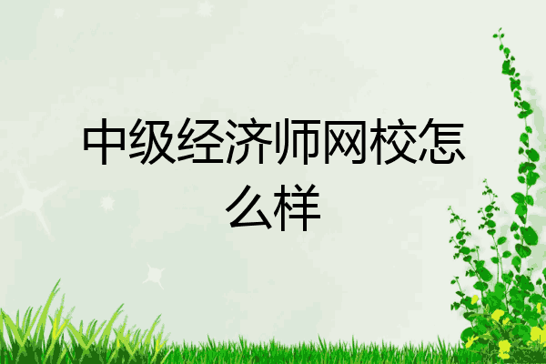 中级经济师网校怎么样