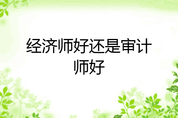 经济师好还是审计师好