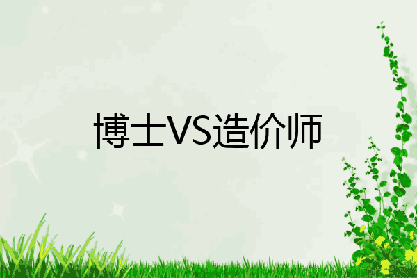 博士VS造价师