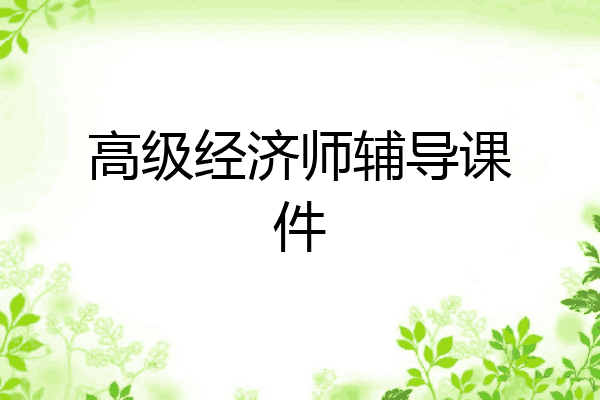 高级经济师辅导课件