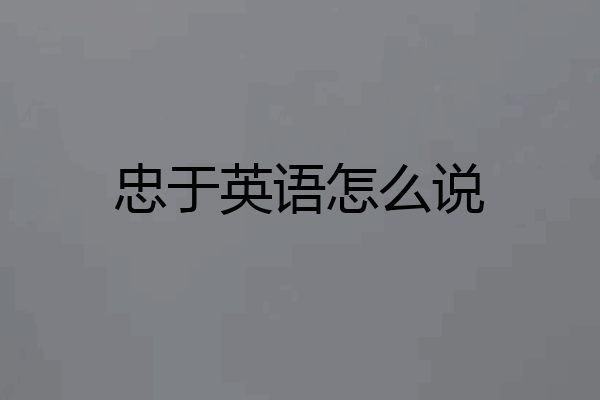 忠于英语怎么说