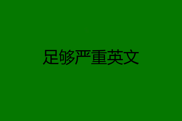 足够严重英文