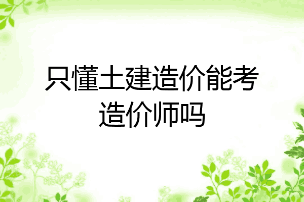 只懂土建造价能考造价师吗