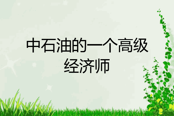 中石油的一个高级经济师