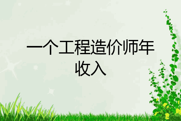 一个工程造价师年收入