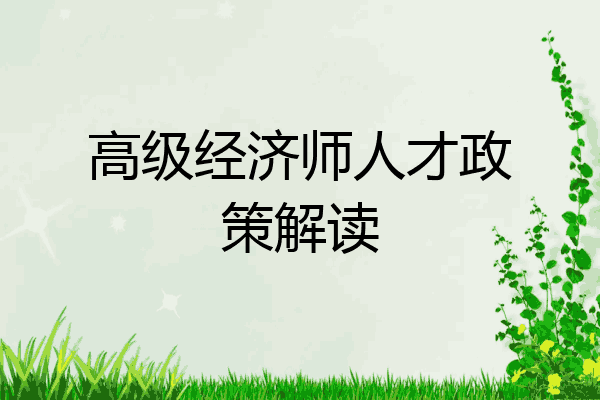 高级经济师人才政策解读