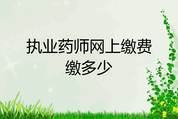 执业药师网上缴费缴多少
