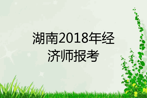 湖南2018年经济师报考