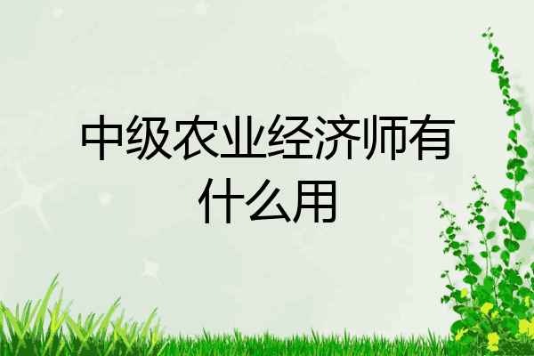 中级农业经济师有什么用