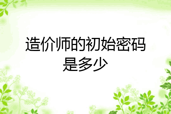 造价师的初始密码是多少
