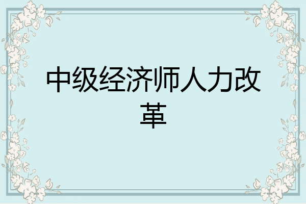 中级经济师人力改革