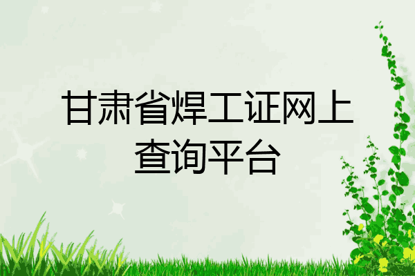 甘肃省焊工证网上查询平台