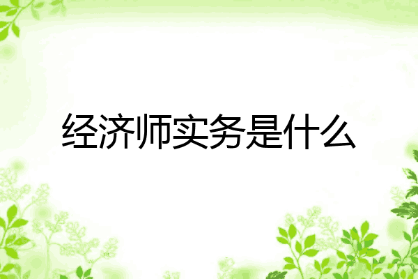 经济师实务是什么