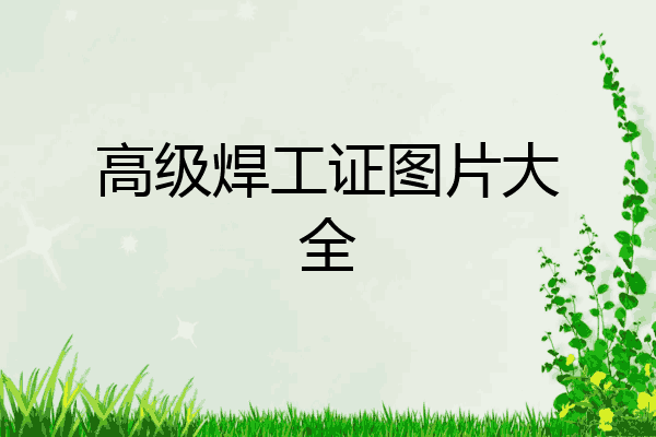 高级焊工证图片大全