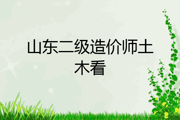 山东二级造价师土木看