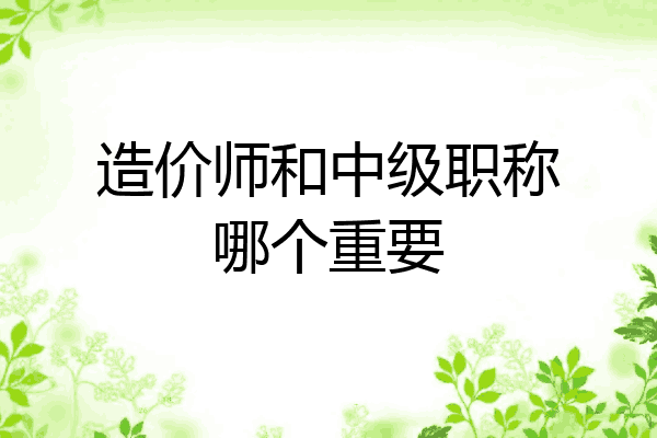 造价师和中级职称哪个重要