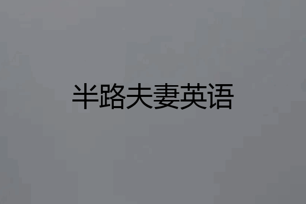 半路夫妻英语