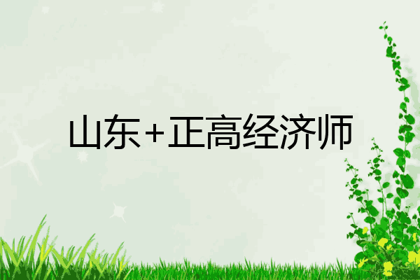 山东+正高经济师