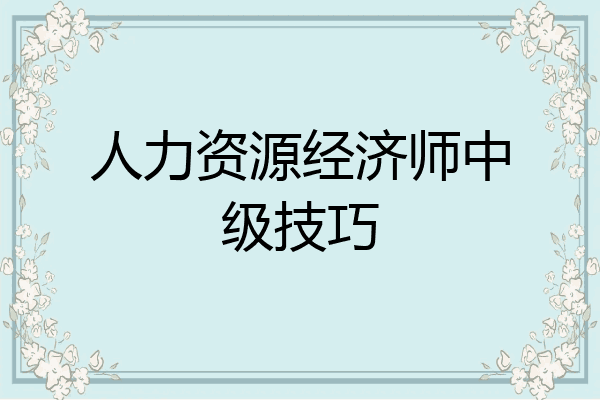 人力资源经济师中级技巧