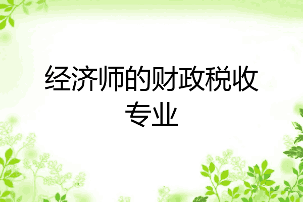 经济师的财政税收专业