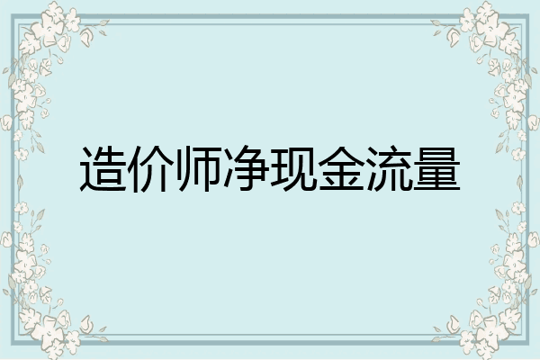造价师净现金流量