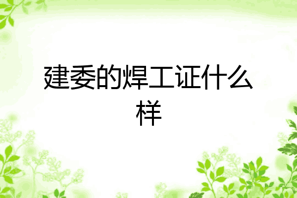 建委的焊工证什么样