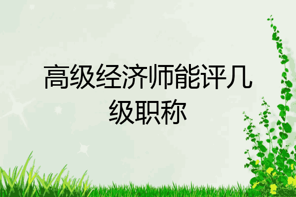 高级经济师能评几级职称
