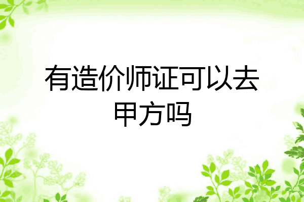 有造价师证可以去甲方吗